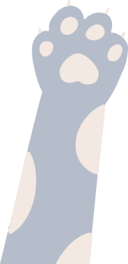 Düz dizayn kedi ön kolu, şeffaf arka planda krema bantları, yuvarlak pedler ve pençeler gösteriyor. Hayvan uzvu, çizgi film tarzı, minimalist, evcil hayvan çizimi, şirin tasarım, dijital sanat, karakter aksesuarı.