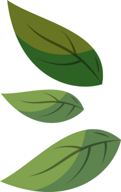 Üç düz vektör yaprağı saydam arkaplanda yüzüyor, yeşil eğimleri ve damarları gösteriyor. Doğa, botanik, çevre dostu, minimalizm, organik, illüstrasyon, yeşillik