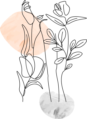 Minimum botanik çizimler şeftali grisi boya darbelerinde ve şeffaf arka planda saplar gösteriyor. Soyut sanat, botanik tasarım, minimalizm, suluboya, çizgi çizimi, dijital illüstrasyon, modern dekor