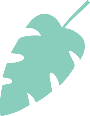 Düz tasarımda, soyut yaprak çapraz olarak şeffaf arkaplanda süzülür. Botanik, doğa, illüstrasyon, minimalizm, tropikal, organik, çevre dostu