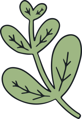 Botanik filizi düz dizayn içinde yüzüyor. Saydam arkaplanda beş oval damarlı yaprak görünüyor. Botanik, yeşillik, illüstrasyon, minimalizm, doğa, organik, çevre dostu