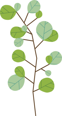 Şekillendirilmiş dal, vektör illüstrasyonunda şeffaf arkaplan ile yuvarlak yeşil yapraklar sergiliyor. Botanik, doğa, illüstrasyon, organik, yeşillik, bitki yaşamı, çevre dostu