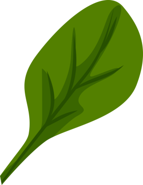 Stilize yeşil yaprak vektör sanatında yüzüyor ve şeffaf arkaplanda daha koyu yeşil damarlar var. Botanik, doğa, organik, bitki, eko, illüstrasyon, minimalizm