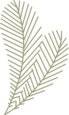 Bir çift soyut palmiye yaprakları çizgi sanatı, zeytin ana hatları ve şeffaf arka planda kesişiyor. Tropikal, botanik, minimalist, çizgi sanatı, dekoratif, doğadan esinlenilmiş, organik