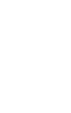 Şekillendirilmiş yaprak dalı, minimalist beyaz çizgi çiziminde, şeffaf arkaplanda gösteriliyor. Botanik, çizim, minimalizm, doğa, organik, sanat, tasarım