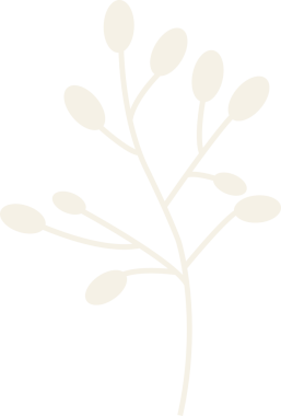 Stilize bitki dalı düz dizayn ve şeffaf arkaplanda birden fazla oval tomurcuğa sahip. Botanik, doğa, minimalizm, illüstrasyon, tasarım, eko, organik