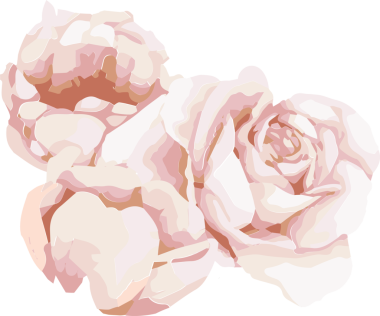 Üç çiçek açan gül düz vektör tarzında, pastel yapraklar, şeffaf arkaplan. Çiçek, botanik, zarafet, yumuşaklık, dekorasyon, sanat, tasarım