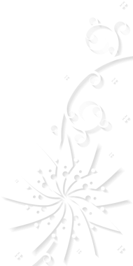 Yıldız patlaması çiçeğini, kıvrımlı sarmaşıklar ve elmas noktalarla gösteren vektör sanatı, şeffaf arkaplan. Süslü, dekoratif, çiçekli, zarif, karmaşık, katmanlı, klasik