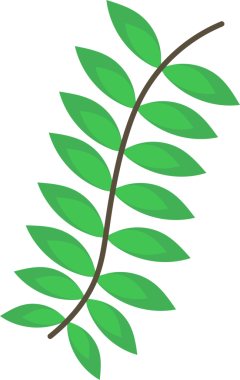 Şekillendirilmiş bitki dalı, parlak yeşil yapraklar göstererek şeffaf arkaplanda yavaşça kıvrılıyor. Botanik, doğa, illüstrasyon, organik, bitkisel, botanik sanat, çevre