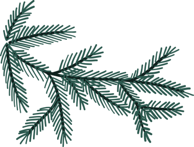 Şekillendirilmiş düz yeşil dal, yeşil iğneli ve şeffaf arkaplanlı açılı dallar gösteriyor. Doğa, botanik, minimalizm, illüstrasyon, tasarım, mevsimlik, yeşillik