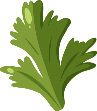 Yeşil bitki yaprakları kümesi düz vektör tarzında şeffaf arkaplan üzerinde yüzüyor. Bitki, aşçılık, illüstrasyon, organik, doğal, taze, minimalist