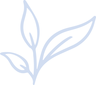 Soluk mavi filiz, şeffaf arkaplanda üç yaprak var. Botanik, büyüme, minimalizm, ekoloji, doğa, iç dekorasyon, resimleme