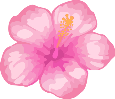 Düz dizayn pembe amber çiçeği şeffaf arka planda beş taç yaprağı ve sarı kekemeliği gösteriyor. Botanik, çiçek, illüstrasyon, dekorasyon, doğa, zarafet, canlı