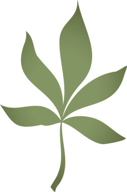 Biçimlendirilmiş yedi parçalı yeşil yaprak düz dizayn ve şeffaf arkaplanda gösteriliyor. Doğa, botanik, illüstrasyon, organik, sağlık, eko, minimalizm