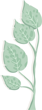 Şekillendirilmiş bitki dalı eğri saplı şeffaf arkaplanda beş soluk yeşil yaprak gösteriyor. Botanik, illüstrasyon, doğa, organik, tasarım, dekoratif, minimalist