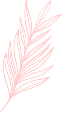 Stylized coral pink palm leaf is being shown in hand-drawn flat design on transparent background. Botanical, illustration, minimalism, nature, tropical, botanical art, organic