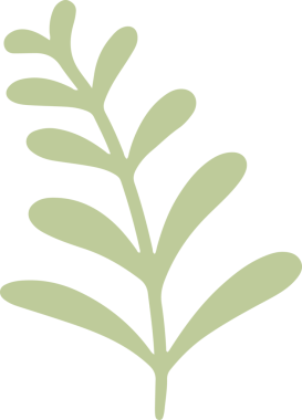 Botanical illustration showing pale green leafy branch in flat design on transparent background. Nature, flora, illustration, minimalism, organic, botanical art, deco