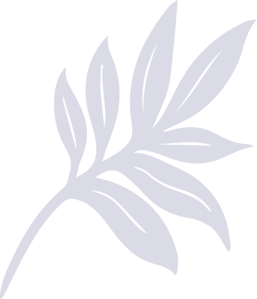 Botanik dalı, düz tasarımda şeffaf arkaplanda, soluk gri yapraklarla gösteriliyor. Botanik, illüstrasyon, minimalist, doğa, organik, çizgi sanatı, grafik