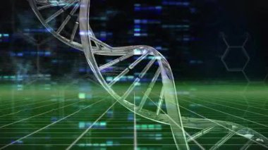 Genetik veri akışını görselleştiren kod zayıflarken yeşil ızgara ışıkları DNA sarmalını çalıştırıyor. Gelecekçi, teknoloji, dijital, yenilik, bilim, veri, moleküler
