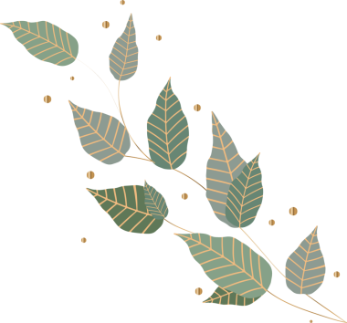 Şekillendirilmiş dallar, sessiz yapraklar, altın noktalar ve damarlar, şeffaf arkaplan gösteren vektör. Doğa, botanik, zarafet, minimalizm, lüks, dekorasyon, illüstrasyon