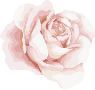 Katmanlı soluk pembe, şeffaf arkaplan gösteren krem yapraklı gül çizimi. Çiçek, zarafet, minimalist, suluboya, romantik, dekoratif, botanik