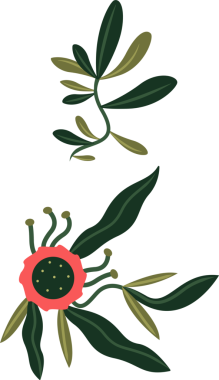 Kırmızı çiçekli yeşil yaprak kümeleri ve şeffaf arkaplan içeren düz botanik vektörler gösteriliyor. Doğa, botanik, yeşillik, organik, illüstrasyon, bitki örtüsü, dekor