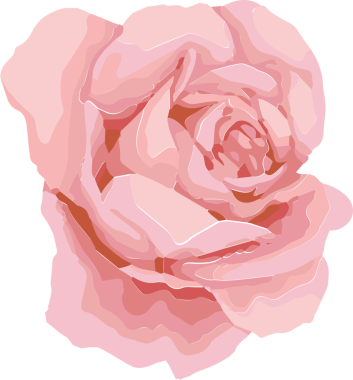 Tamamen çiçek açmış pembe gül düz vektör şeklinde yüzüyor ve arka planda katmanlı taç yaprakları var. Çiçeksel, botanik, zarafet, doğa, detaylı, hassas, minimal