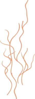 Düz dizayn, şeffaf arka planda birbirine dolanan ince kıvrımlı turuncu filizleri gösteriyor. Soyut, akışkan, organik, minimal, canlı, modern, vektör