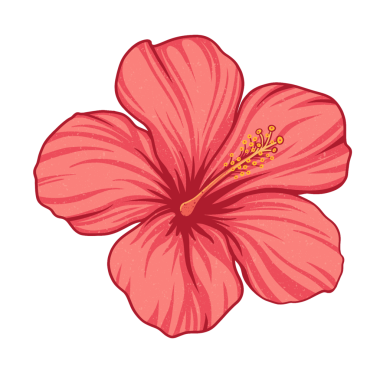 Hibiscus tarzı çiçek, şeffaf arkaplanda ince damar detaylarıyla düz tasarımda çiçek açıyor. Botanik, çiçek, doğal, minimalist, canlı, ayrıntılı, zarif