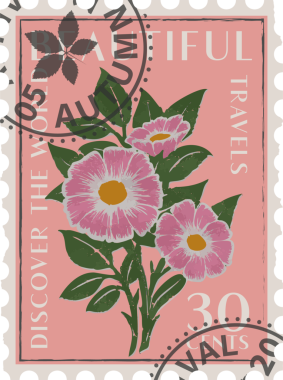 Pembe çiçek kümesi, şeffaf arkaplanda posta damgası bulunan düz taraklı pulları gösteriyor. Botanik, klasik, resimsel, dekoratif, çiçekli, sanatsal, koleksiyonluk