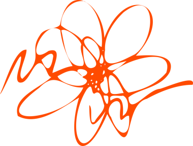 Soyut turuncu çizgi çiçeği, şeffaf tuval üzerinde düz bir vektörde, taç yapraklarıyla açılır. Minimalist, enerjik, yaratıcı, organik, dekoratif, sanatsal, zarif