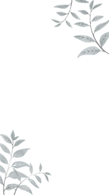 Botanik tasarım, şeffaf tuval üzerinde merkezi alanı çerçeveleyen iki yaprak dalını gösteriyor, kopyalama uzayı. Minimalist, botanik, illüstrasyon, vektör, doğal, organik, dekoratif