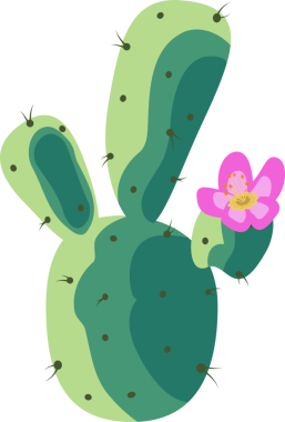 Vektör yeşil kaktüs, koyu dikenli, şeffaf arkaplanda pembe çiçekli desteler gösteriyor. İllüstrasyon, botanik, sulu, doğa, canlı, dekoratif, organik