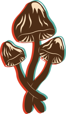 Pop-art, kırmızı ve deniz mavisi dış hatlarıyla iç içe geçen üç mantarı betimliyor, şeffaf arkaplan. Botanik, doğa, illüstrasyon, minimalist, canlı, organik, tasarım