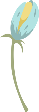 Düz vektör çiçek tomurcuğunda mavi yapraklar, yeşil saplı sarı çekirdek ve şeffaf arkaplan bulunur. Botanik, çiçek tasarımı, minimalist, doğa, illüstrasyon, süs, zarafet