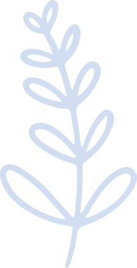 Minimalist botanik şube illüstrasyonu, şeffaf arka planda oval yapraklı gövdeyi gösteriyor. Vektör sanatı, doğal tasarım, organik motif, dekoratif element, çağdaş tarz, yeşillik, refah