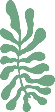 Soyut botanik şekil saydam tuval üzerinde düz tasarım tarzında yüzüyor, kopyalama uzayı. Organik, doğa, çiçek, minimalizm, modern, çevre dostu, doğal