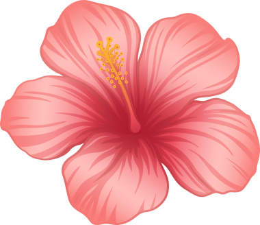 Tropikal amber çiçeği, saydam arka planda düz dizayn ve stamen mercan yapraklarını gösteriyor. Botanik, çiçek, tropikal, doğa, canlı, illüstrasyon, zarafet