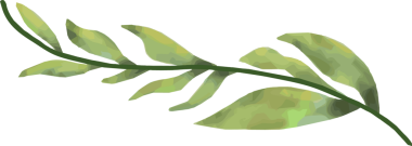 Şekillendirilmiş yeşil yapraklı dal suluboya stilinde saydam arkaplan üzerinde yüzüyor, kopyalama alanı. Botanik, bitki örtüsü, doğa, illüstrasyon, sanatsal, organik, dekorasyon