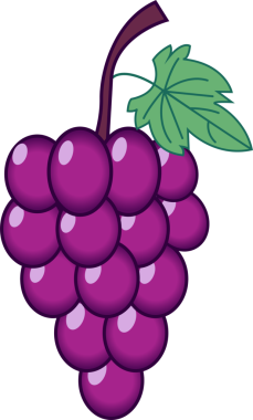 Arka planda yeşil yaprak ile parlayan üzüm demetleri görülüyor. Kopyalama alanı. Meyve, botanik, illüstrasyon, sağlık, tazelik, organik, vegan