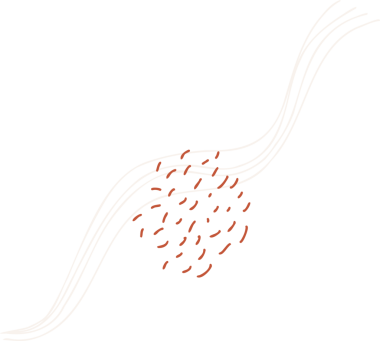 Soyut grafik, şeffaf arkaplanda turuncu fırça darbeleriyle beyaz dalga yayını içeriyor. Minimalist, modern, dinamik, dijital, sanatsal, akıcı, yenilikçi