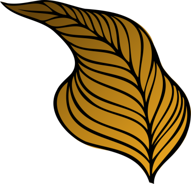 Vektör tasarımı, şeffaf arkaplanda koyu siyah damar çizgileri olan stilize edilmiş altın yaprağı gösteriyor. Lüks, zarafet, botanik, dekor, minimalizm, süs, uyum.