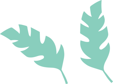 İki stilize botanik yaprak şeffaf arka planda yüzüyor, düz vektör dizaynını gösteriyor. Doğa, çevre, minimalizm, organik, yeşillik, çevre, dekorasyon