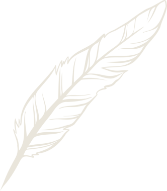 Stilize tüy eskizi şeffaf arka planda, dikenleri ve tüy kalemleri vurguluyor. İllüstrasyon, vintage, ink, artistik, hat sanatı, minimalizm, işçilik