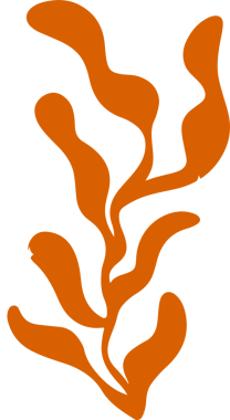 Düz dizayndaki soyut form şeffaf bg üzerinde yükseliyor, turuncu lobları ve beyaz parıltıları gösteriyor. Soyut heykel, organik tasarım, minimalist sanat, modern dekor, canlı palet, akışkan şekiller, dekoratif aksanlar