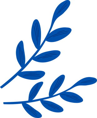 Stilize botanik dalları şeffaf arkaplanda kesişiyor, damarlı mavi yapraklar sergiliyorlar. Botanik, illüstrasyon, tasarım, doğa, dekorasyon, minimalizm, zarafet