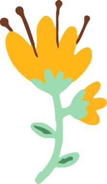 Şekillendirilmiş sarı çiçek, düz dizaynlı, şeffaf arkaplan yapraklarıyla ve erkeklik organlarıyla çiçek açıyor. Flora, botanik, minimalizm, doğa, çizim, estetik, zarafet