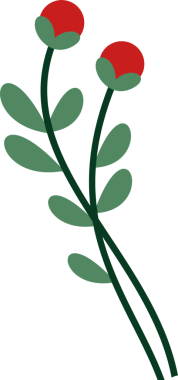 Yeşil saplı iki kırmızı tomurcuk düz resimli, şeffaf arkaplanda yetişiyor. Botanik, çiçek, doğa, organik, minimalizm, illüstrasyon, tasarım