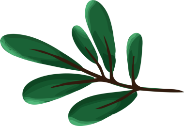 Şeffaf arkaplanda parlak yeşil eliptik yapraklı düz dizayn kahverengi dal gösteriliyor. Doğa, botanik, minimalizm, resimleme, organik, yeşillik, dekorasyon