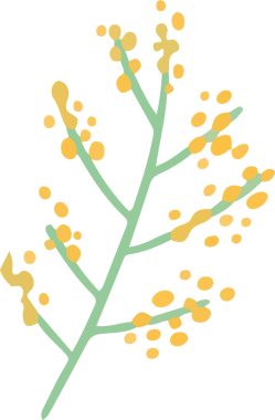 Botanik filizi, yeşil saplı, sarı meyveli ve şeffaf arkaplanlı düz bir şekilde gösteriliyor. Flora, botanik, illüstrasyon, minimalizm, doğa, organik, tasarım